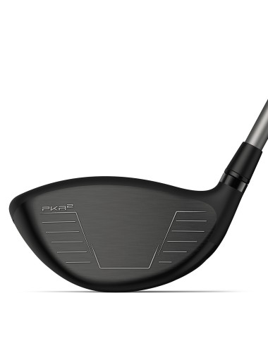 Wilson Staff DynaPower Carbon Driver