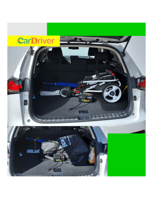 Roketgolf CarDriver