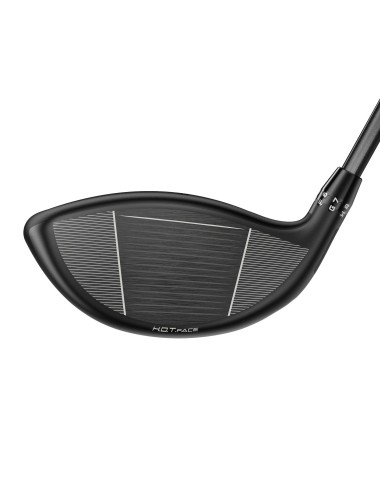 Cobra DS ADPT MAX-D Driver