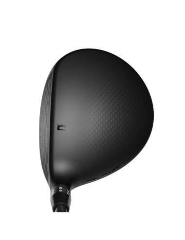 Madera de Calle Cobra DS ADPT X 