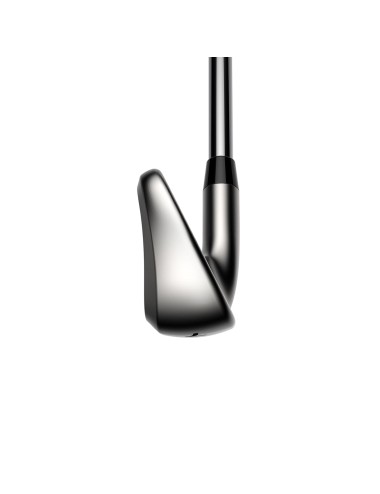 Hierros Cobra DS ADPT 