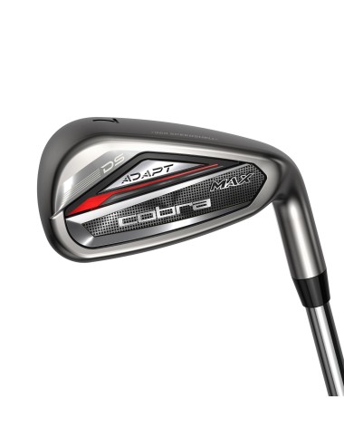 Hierros Cobra DS ADPT MAX 
