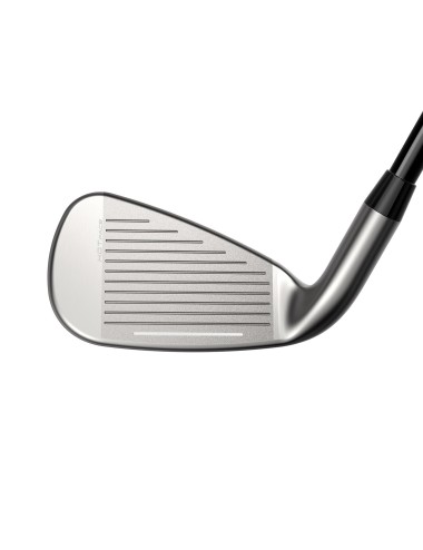 Hierros Cobra DS ADPT MAX Lady