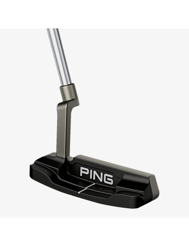 Ping Anser