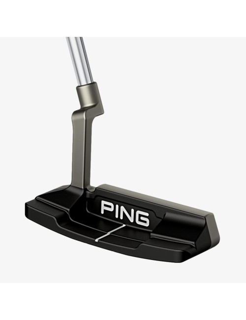Ping Anser 2D