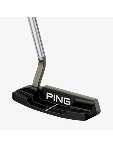 Ping Anser 4