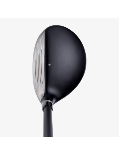 Ping Prodi G Hybrid