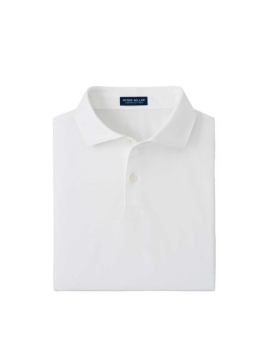 Peter Millar Mens Albatross Cotton Blend Pique Polo Edwin Spread