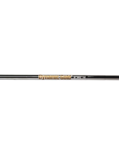 True Temper Dimanic Gold 105 S300 Tip:370