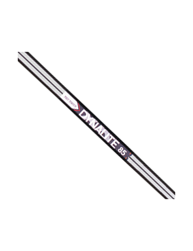 True Temper DYNALITE 100 R300 Tip:370
